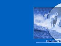 DELOS Pferdepflege - Für Ihr Pferd nur vom Besten! DELOS Pferdepflege - Für Ihr Pferd nur vom Besten!