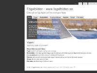  Natur, Övrigt, Fåglar, Sträckbilder