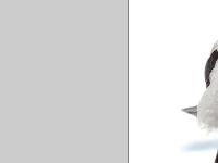 liten fagelbilder.se skärmbild