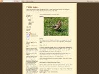 faktaf.blogspot.com ▼ , ▼ , oktober