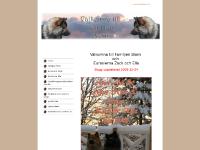 famblom.se Familjen Blom, Eurasiern Zack, Eurasiern Ella famblom.se Familjen Blom, Eurasiern Zack, Eurasiern Ella