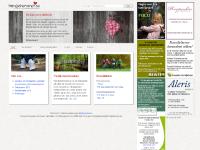 statistik för familjehemmet 