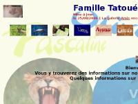Les lionceaux, Les lionnes, Les lions blancs, Premier  Les lionceaux, Les lionnes, Les lions blancs, Premier