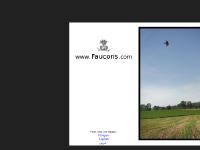 faucons.com Li?, faucon, gerfaut