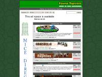 faunatopsites.com Rankings, Sites 1-100, Sites 301-400 faunatopsites.com Rankings, Sites 1-100, Sites 301-400