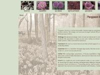 To Past Clients To Past Clients