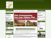 fedecsa.com La FEDECSA, Qui sommes-nous?, Statuts de l'association fedecsa.com La FEDECSA, Qui sommes-nous?, Statuts de l'association