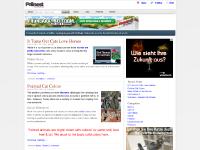 Felinest - All Things Cat - Big and Small Felinest - All Things Cat - Big and Small