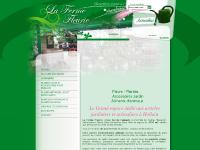 ferme-fleurie-hollain 