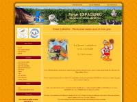 Ferme Lafenêtre - Producteur traditionnel de foie-gras