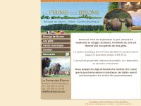 La Ferme des Bisons en Ardenne, situé à Recogne Bastogne, viande de bisons, location gîte Belgique La Ferme des Bisons en Ardenne, situé à Recogne Bastogne, viande de bisons, location gîte Belgique