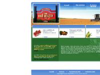 Ferme Van Velzen - Auto-cueillette de fraises