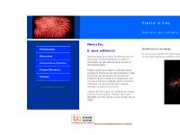 Conseil et creation de feux d'artifices par bernard Jacot et son equipe des paf