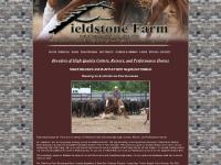 Fieldstone Farm Cutters and Performance Horses - Home of Smart Blackbird AQHA APHA FQHR Stallion Fieldstone Farm Cutters and Performance Horses - Home of Smart Blackbird AQHA APHA FQHR Stallion