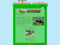 Filou Mon Lapinou - lapin nain de compagnie