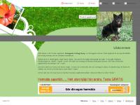 Finsk Lapphund - Underbar barn- och familjehund. - Välkommen Finsk Lapphund - Underbar barn- och familjehund. - Välkommen
