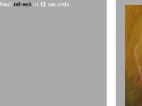 fireflew: Rebecca Fiduccia