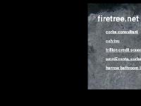 firetree.net corba consultant, calvino, trillion credit squadron firetree.net corba consultant, calvino, trillion credit squadron