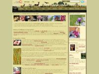 Wildflowers, fungi, wildlife guide; nature reserves