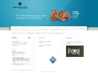 first-quantum.com 19.76, Overview, Officers & Directors first-quantum.com 19.76, Overview, Officers & Directors