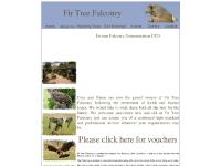 firtreefalconry.co.uk falconry, hawking day, owl evening