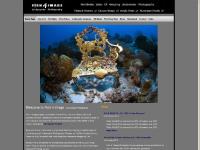 fish4image.co.uk Underwater Photography, underwater posters, underwater poster