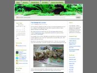  Species- Garra&nbsp;Flavatra, Fish Tale, &laquo; Feb, Gouramis&nbsp;mating