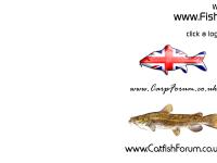 fishyforums - Welcome to Fishy Forums!