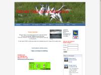 fiskeoland.se Flugfiske havsöring fiske Öland