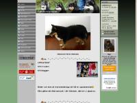 liten fjallvallarenskennel.se skärmbild