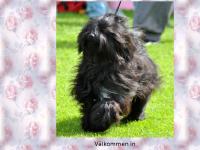 liten flashlines.se skärmbild liten flashlines.se skärmbild