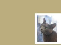 Välkommen till S*Flax Välkommen till S*Flax