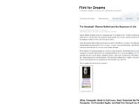 Flint for Dreams Flint for Dreams