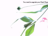 Floc Productions Floc Productions