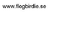 www.flogbirdie.se - Active 24