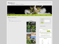 Floran.se - Kärlväxter i Norden och Baltikum Floran.se - Kärlväxter i Norden och Baltikum