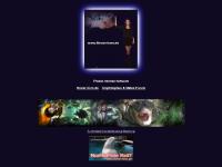 Flower Horn Cichlid Flower Horn Cichlid