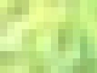 liten flowerprint.se skärmbild