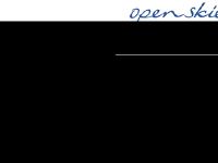 liten flyopenskies.com skärmbild