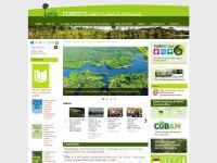 forestsclimatechange.org Jobs, Global Comparative Study on REDD+, National REDD+ processes and policies