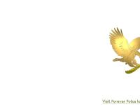 foreverlivingproducts.com