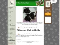 Min förstasidan - www.formescanis.se