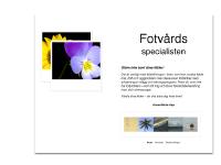 statistik för fotvardsspecialisten - fotvardsspecialisten.se statistik för fotvardsspecialisten - fotvardsspecialisten.se