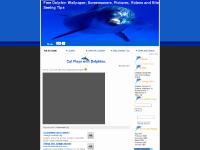 Dolphins Swimming in the Wild., Two Bottlenose Dolphins Jumping, Two dolpins touching their noses, Dolphin Report - Dana Point Times Dolphins Swimming in the Wild., Two Bottlenose Dolphins Jumping, Two dolpins touching their noses, Dolphin Report - Dana Point Times
