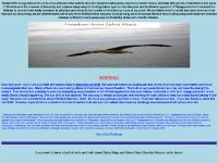 Freedom from Sahaj Marg