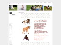 Foto - hästar, Trackbacks (), Foto - porträtt, Trackbacks ()  Foto - hästar, Trackbacks (), Foto - porträtt, Trackbacks ()