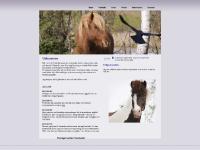 liten fridabennerman.se skärmbild liten fridabennerman.se skärmbild