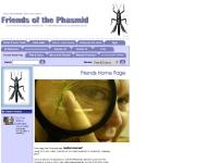 the friends of the long lost Phasmid Inc. the friends of the long lost Phasmid Inc.