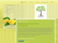 statistik för friskavindar - friskavindar.com - Startsidan Friska Vindar