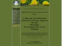  Rysk Kanin, Hermelin Viltgrå, Hermelin Järngrå, Hermelin Viltröd